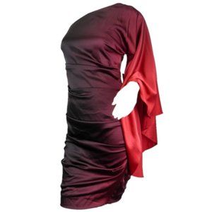NWT NICOLE MILLER Red/Wine/Black Ombre Silk One Flare Sleeve Dress Size 2